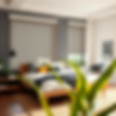 Stylish roller blinds in a contemporary bedroom