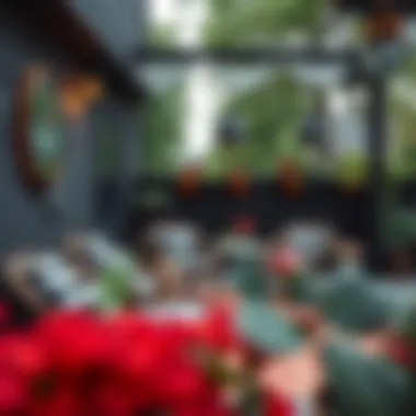 A stylish outdoor patio showcasing black and white checked chair pads for a chic look