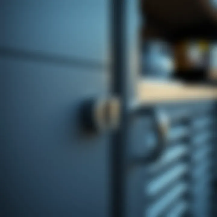 Close-up of secure locking mechanism on storage cabinet.