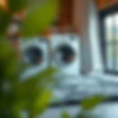 Overview of different rug types suitable for machine washing