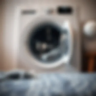 Demonstrating the correct washing machine settings for rugs