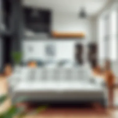 A variety of futons displayed in a modern living room setting