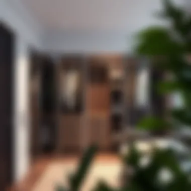 Design layout for sliding door closet installation