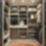 A well-organized storage closet showcasing efficient space utilization with shelves and bins.