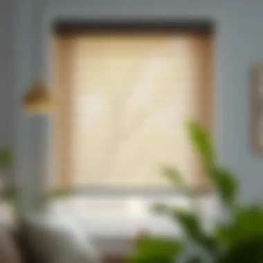 Exploring Various Types of Window Blinds Different types of window blinds for customization