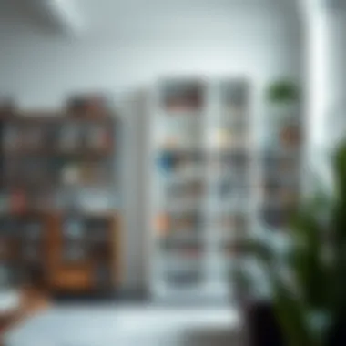 Diverse Bookshelf Styles Various styles of bookshelves displayed