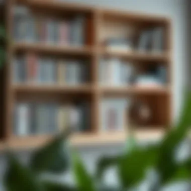 Custom DIY DVD Shelf Project DIY shelving project tailored for DVD organization