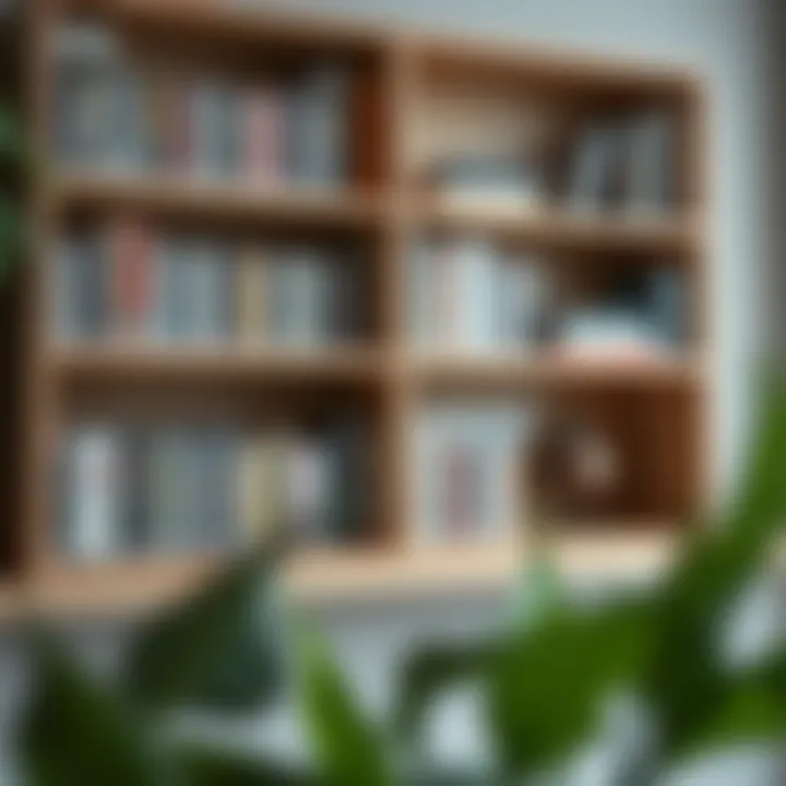 Custom DIY DVD Shelf Project DIY shelving project tailored for DVD organization