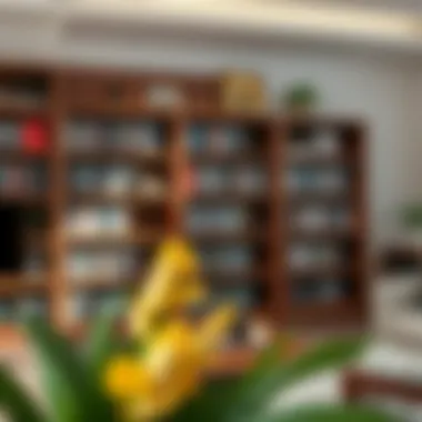 Elegant Wooden DVD Storage Aesthetic wooden shelving for DVDs showcasing elegance