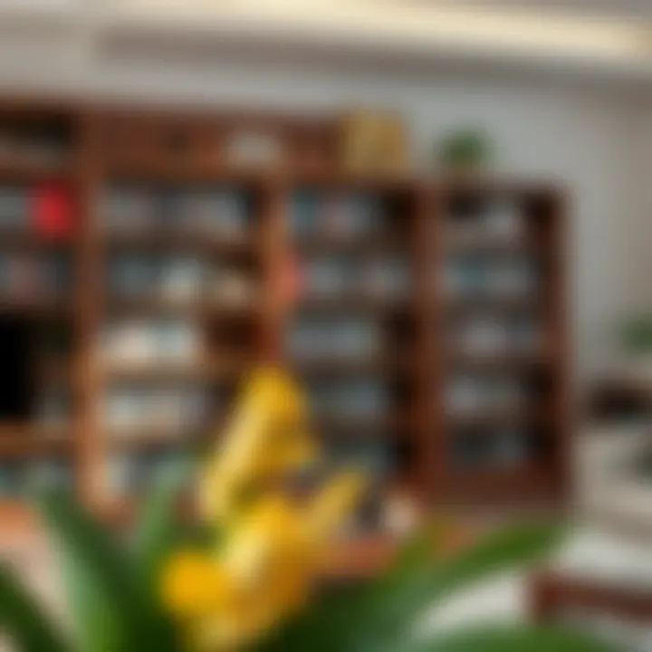 Elegant Wooden DVD Storage Aesthetic wooden shelving for DVDs showcasing elegance