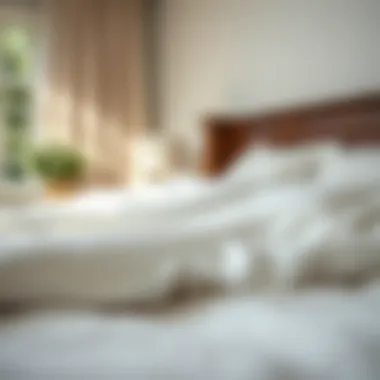 Maintenance Tips for Cotton Sheets Maintenance tips for keeping cotton split king sheets pristine