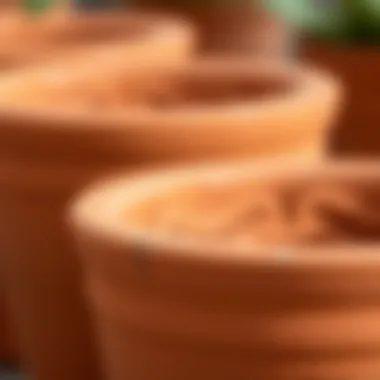 Close-up of a terracotta flower pot showcasing texture