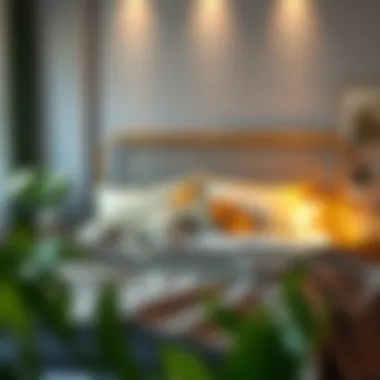 Budget-Friendly Luxurious Bedding Luxurious bedding setup on a budget-friendly king size bed