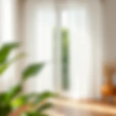 Elegant sheer white curtains draping gracefully in a sunlit room