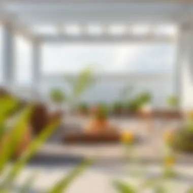 Maintenance tips for outdoor rugs displayed visually