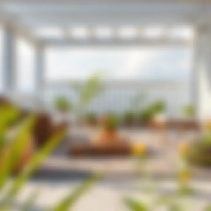 Maintenance tips for outdoor rugs displayed visually