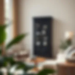 Elegant black curio cabinet showcasing unique design