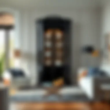 Black curio cabinet styled in a modern living room