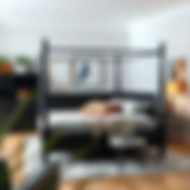 Versatile Integration: The Black Four Post Bed Frame Across Styles Black four post bed frame surrounded by various decor styles