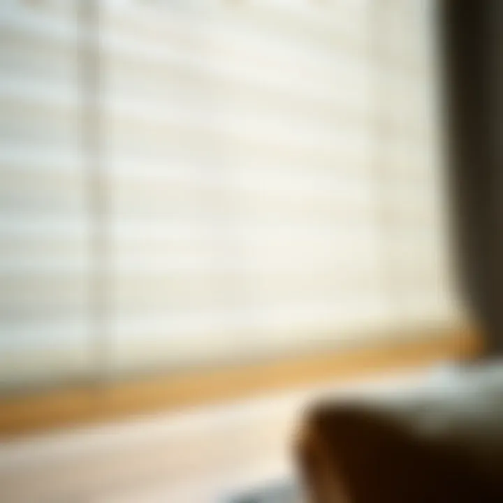 Close-up of textured cream window blinds