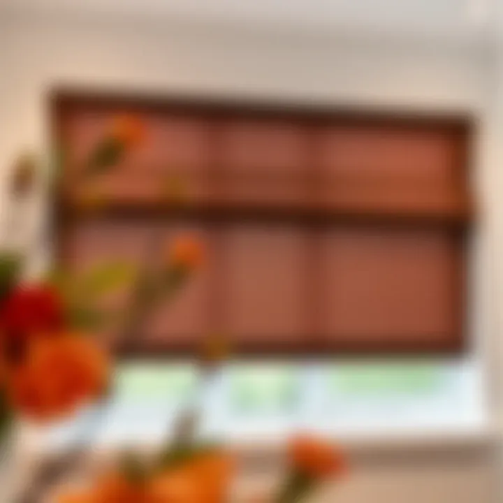 Installation of dark brown roller shades in a contemporary window