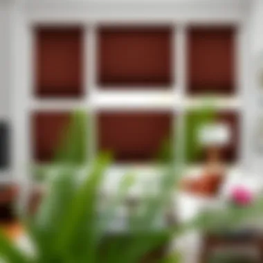 Stylish dark brown roller shades complementing a well-decorated room