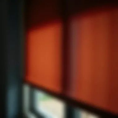 Close-up of dark brown roller shades showcasing texture and fabric quality