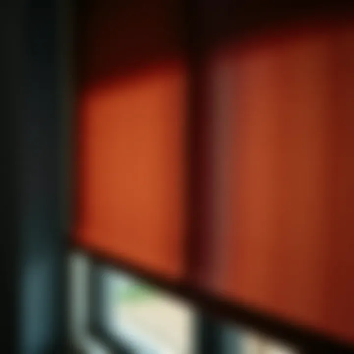 Close-up of dark brown roller shades showcasing texture and fabric quality