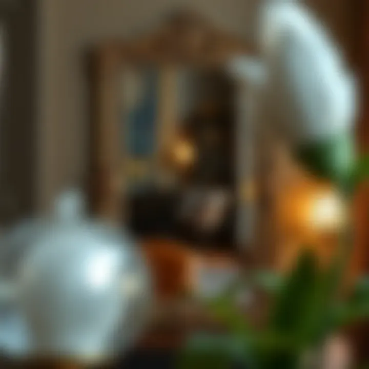 Vintage-style full-size mirror framed with intricate designs