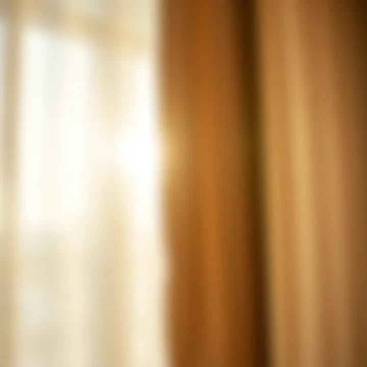 Luxurious Sheer Fabric Detail with Sunlight Close-up texture of luxurious sheer fabric with sunlight streaming in