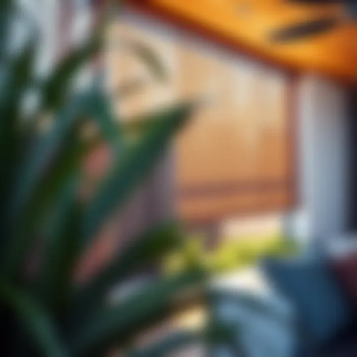 Maintenance Insights for Outdoor Shades Maintenance tips for matchstick outdoor shades