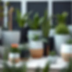 A collection of modern outdoor pots in various styles and materials