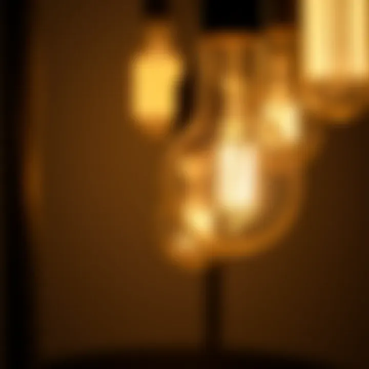 Close-up of energy-efficient small skinny light bulb