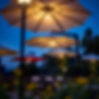 Variations of Solar Lighted Deck Umbrellas Diverse design variations of solar lighted deck umbrellas displayed