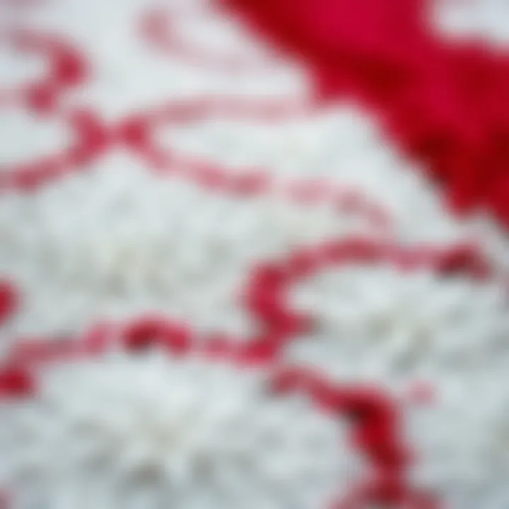 Close-up on the texture of a red kitchen rug