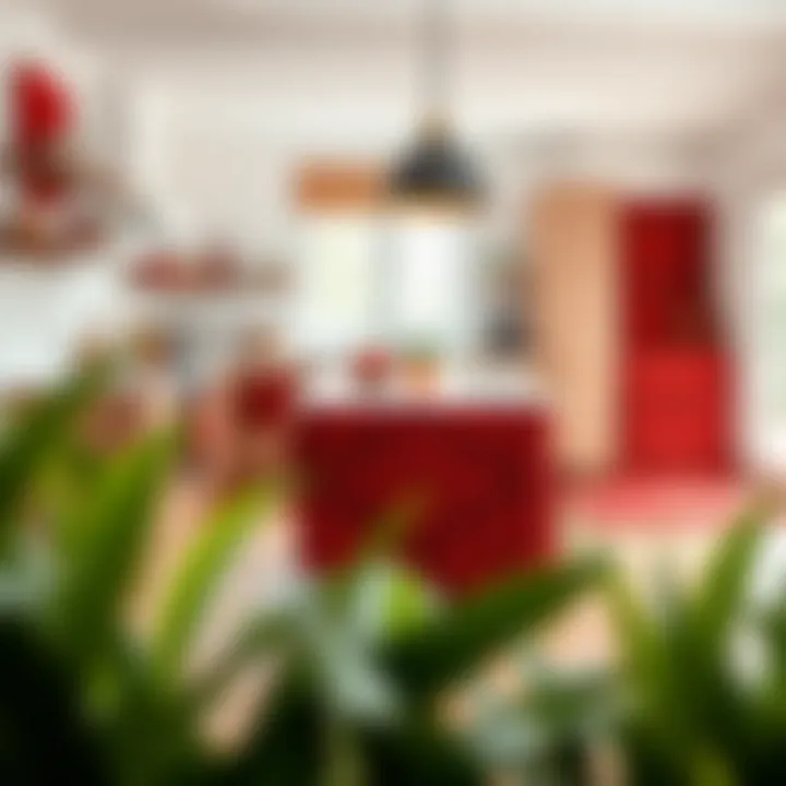 Various styles of red rugs displayed in a bright kitchen setting