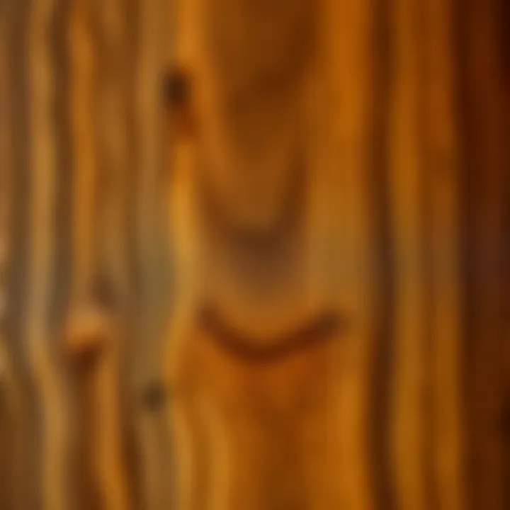 Detailed Wood Grain Close-Up Close-up view of intricate wood grain patterns on a heavy dining chair