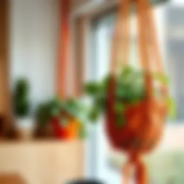 Colorful macrame hanging pot with decorative plants