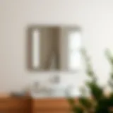 Elegant 22 inch wide bathroom mirror mounted above a stylish sink