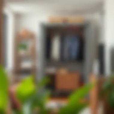 Versatile Use of Portable Closets in Small Spaces A versatile heavy duty portable closet being used in a small apartment