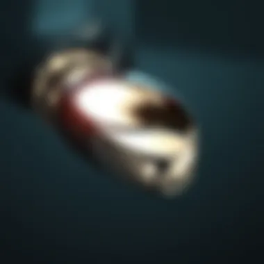 Close-up of a polished chrome pull reflecting light beautifully