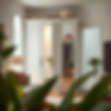 Stylish interior featuring a tall white closet cabinet