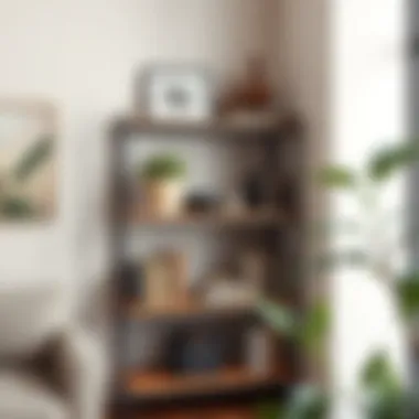 Notable Exploring the Versatility of the 4 x 2 Shelf: A Comprehensive Guide Notable Exploring the Versatility of the 4 x 2 Shelf: A Comprehensive Guide