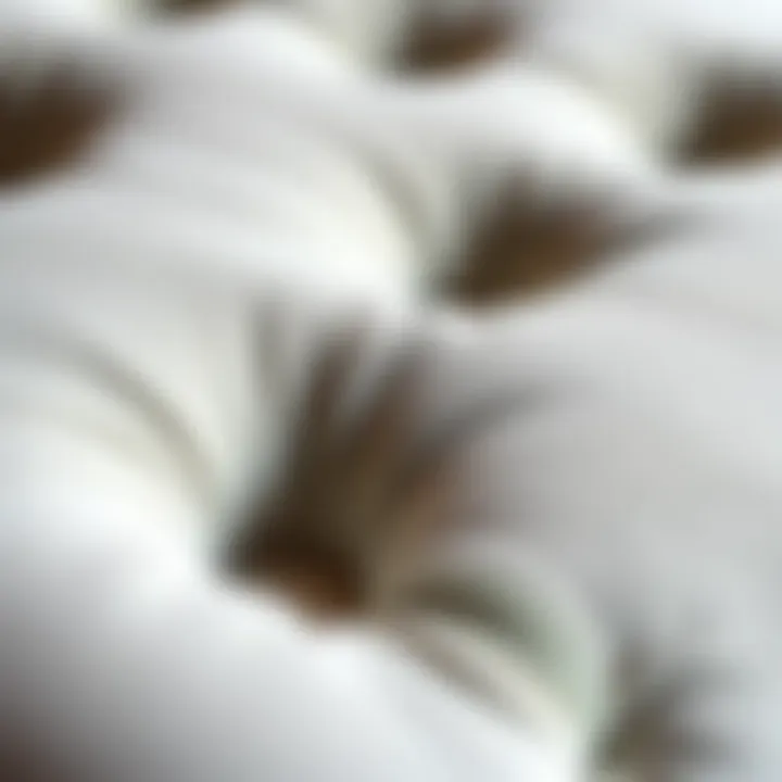 Close-up of various materials used in tufting