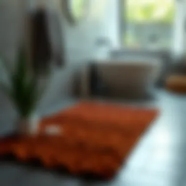 Diverse Materials for Narrow Bathroom Mats Variety of materials used in narrow bathroom mats