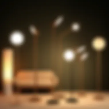 Variety of floor stand LED lamp designs showcasing flexibility