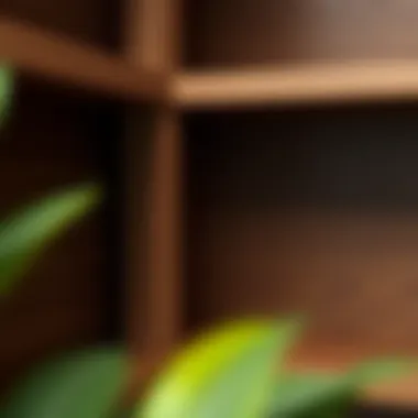 Close-up of walnut wood texture in corner bookcase