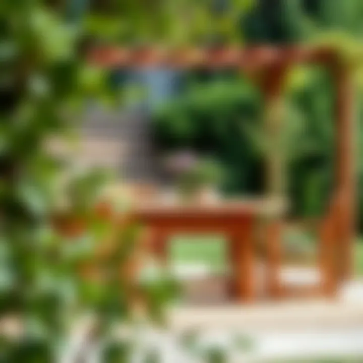 Stylish wooden dining set surrounded by greenery