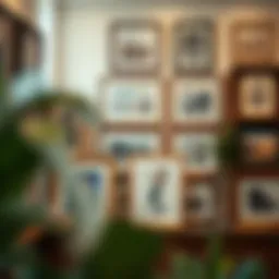 A selection of elegantly framed photographs on display