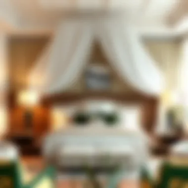 A variety of canopy designs showcasing different styles